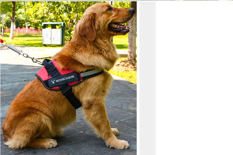 K9 Tactical Dog Harness and Leash Anti-Pull for Golden Retriever Pomeranian Adjustable Pet Walking Rope for Large Dogs