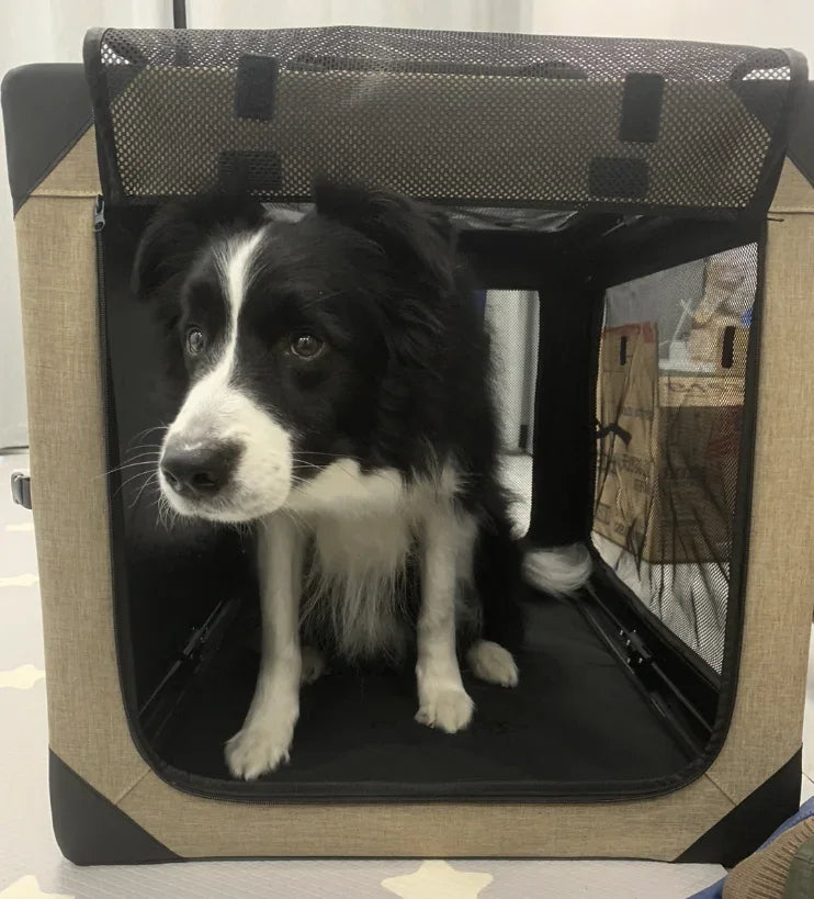 Dog Crate Travel Foldable Pet Crate for Puppy/Small Dog 18 Lbs Soft Cat Carrier Fit for Indoor & Outdoor/Car Back Seat/Trunk