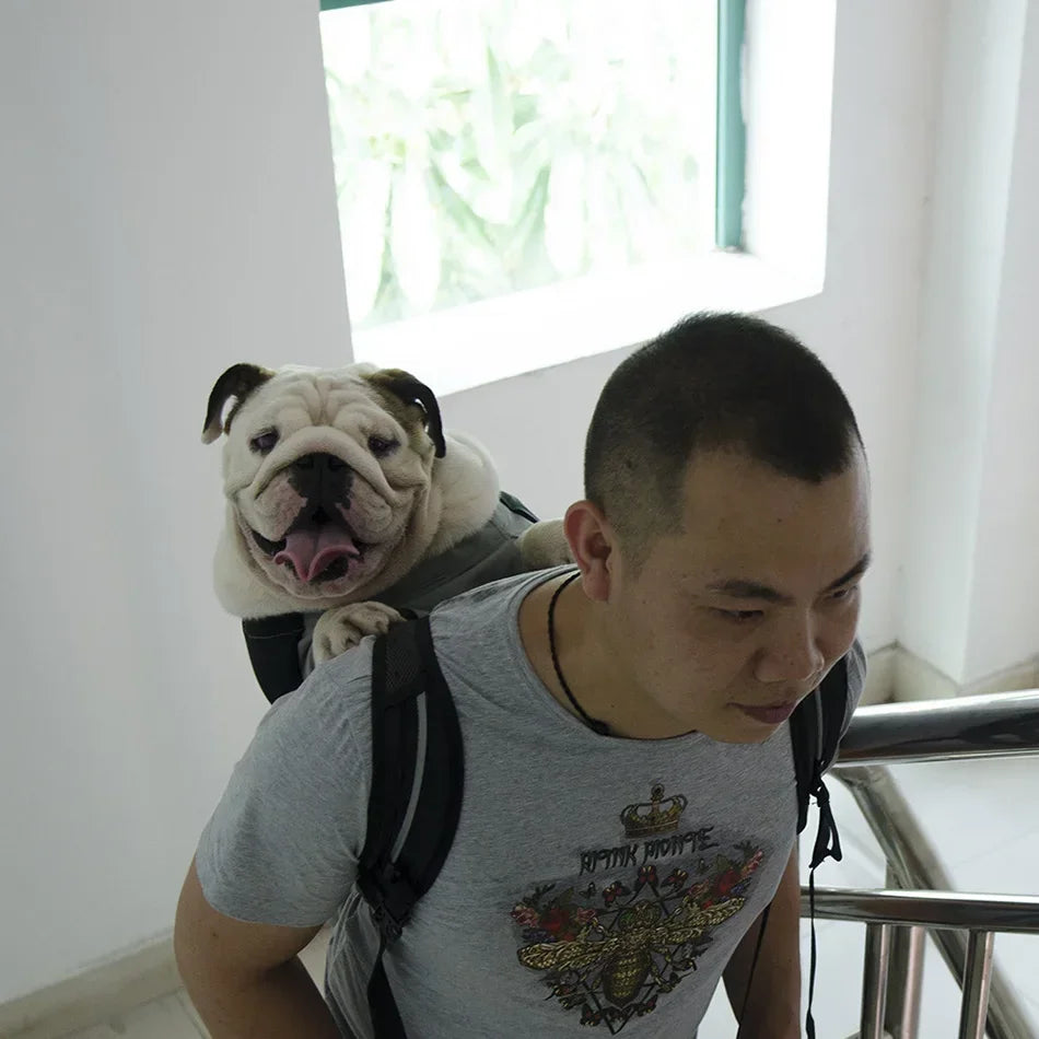 Breathable Large Dog Backpack Carrier - Durable Adjustable Outdoor Hiking Dog Bag Perfect for Large Golden Retriever & Bulldog