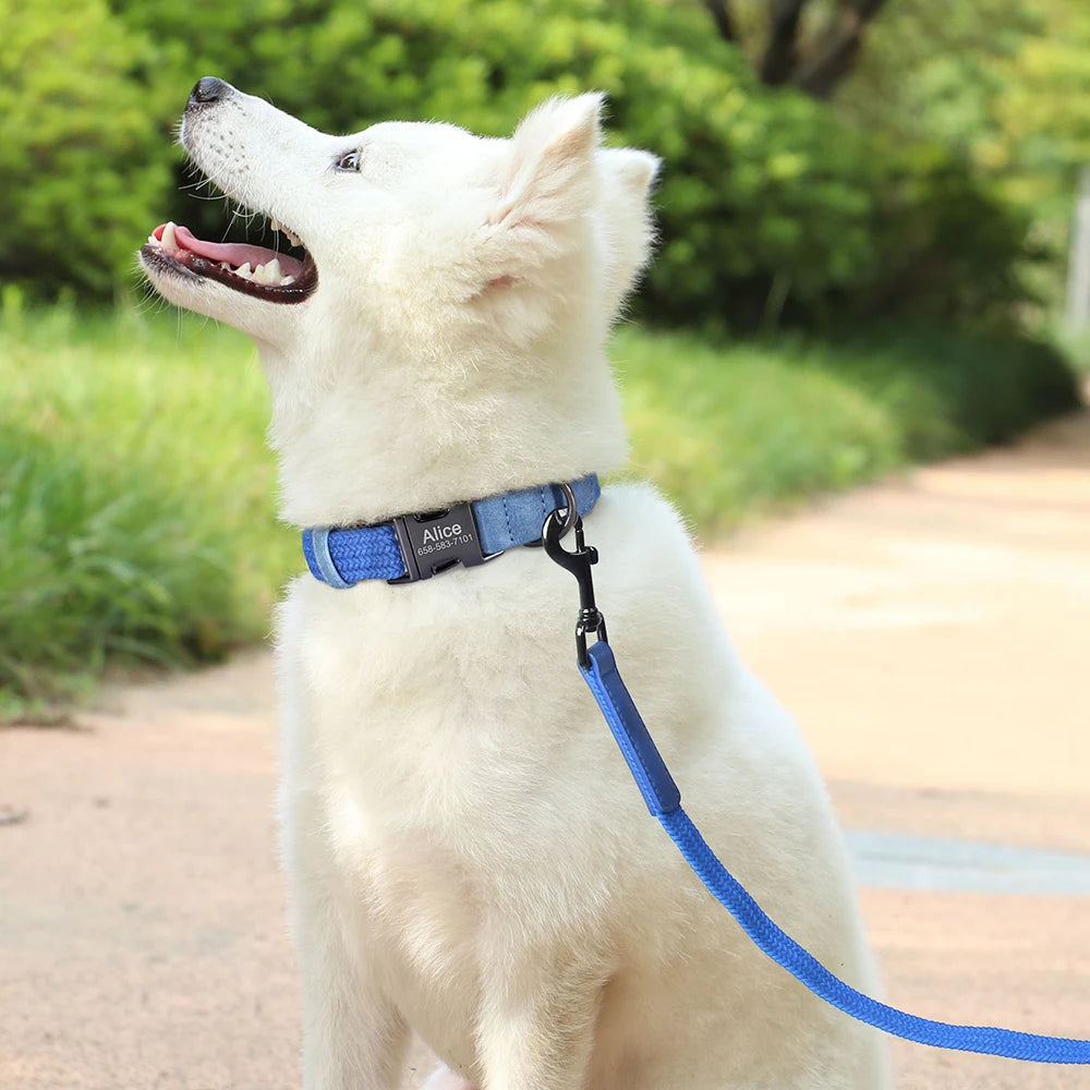 Retro Dog Collar Leash Set Custom Nylon Dog Collars With Walking Lead Rope Adjustable Pet Necklace for Small Large Dogs Durable