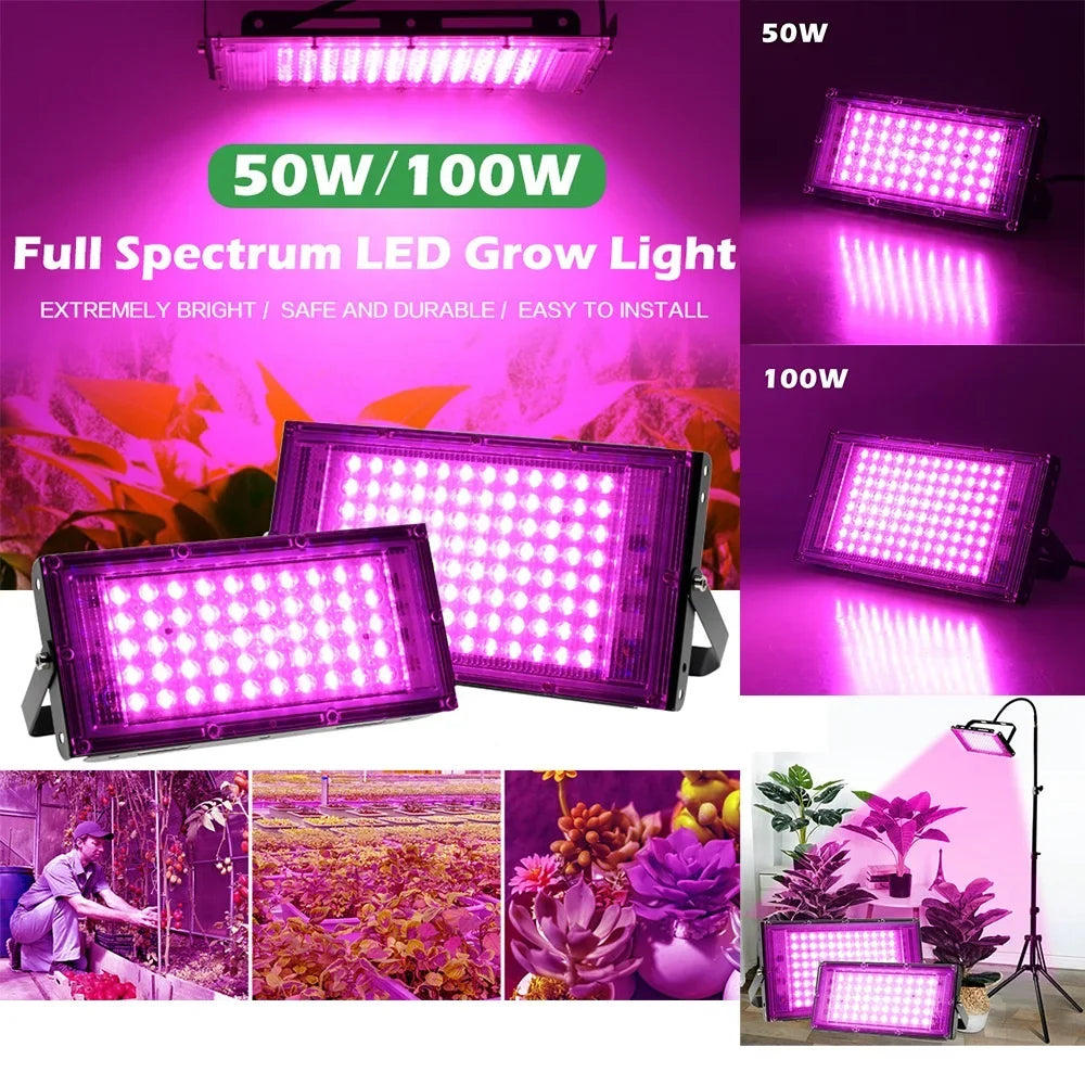 Full Spectrum LED Grow Lights 50/300W Plant Lamp Indoor Plants Phyto Lamp Greenhouse Hydroponic Plant Vegetable Growing Lamp