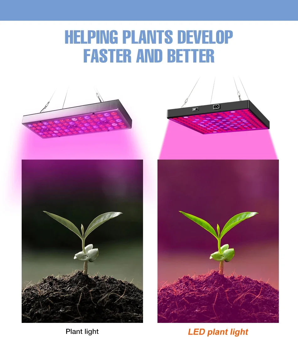 100W 50W LED Grow Light Full Spectrum Plant Hydroponics Cultivation Lamp IR UR For Indoor Flower Cactus Succulent Fill Lighting