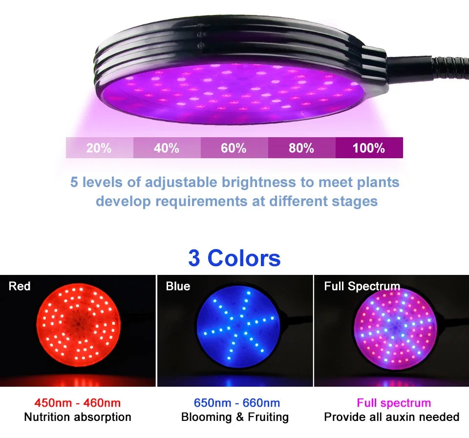 Full Spectrum LED Grow Light USB Plant Fill Lamp 5V Dimmable Timing Auto On/Off Indoor  Seeds Hydroponics Vegs Cultivation Lamps
