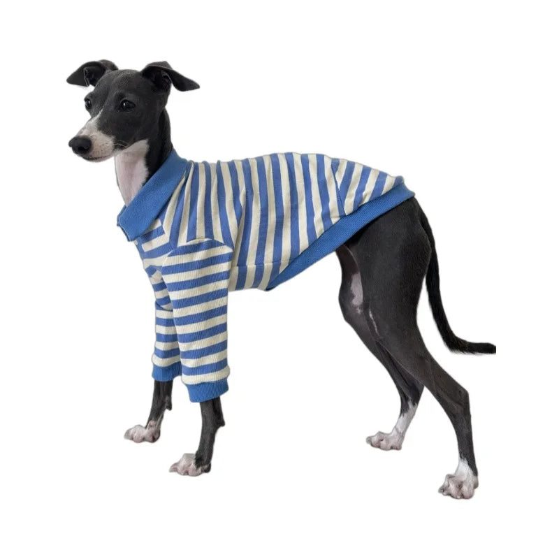 Pet POLO shirt pure cotton fabric stretch Italian Greyhound Whippet Bedlington Terrier dog clothes