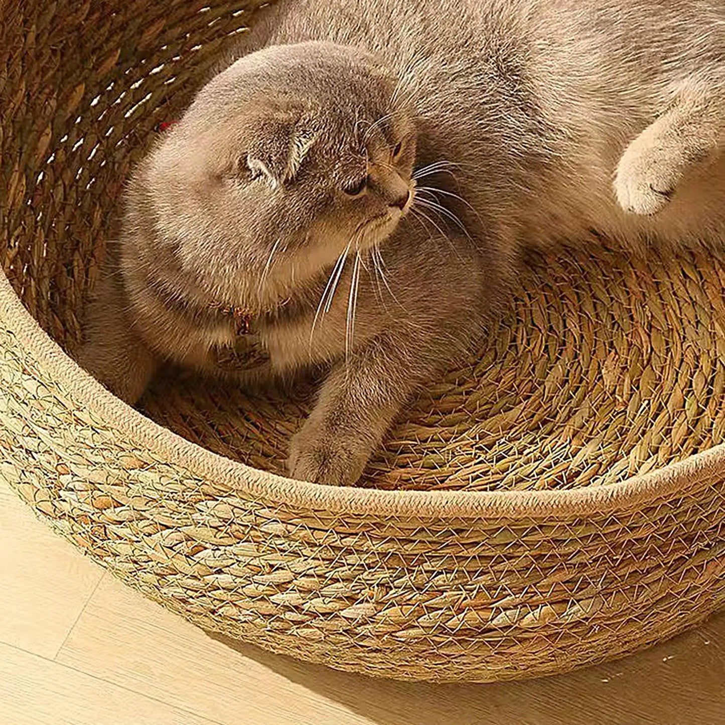 Cat Bed Hand-Woven Cotton Rope Cat Basket All Season Indoor Weaving Pet Resting Scratching Sleeping Furniture for All Breeds