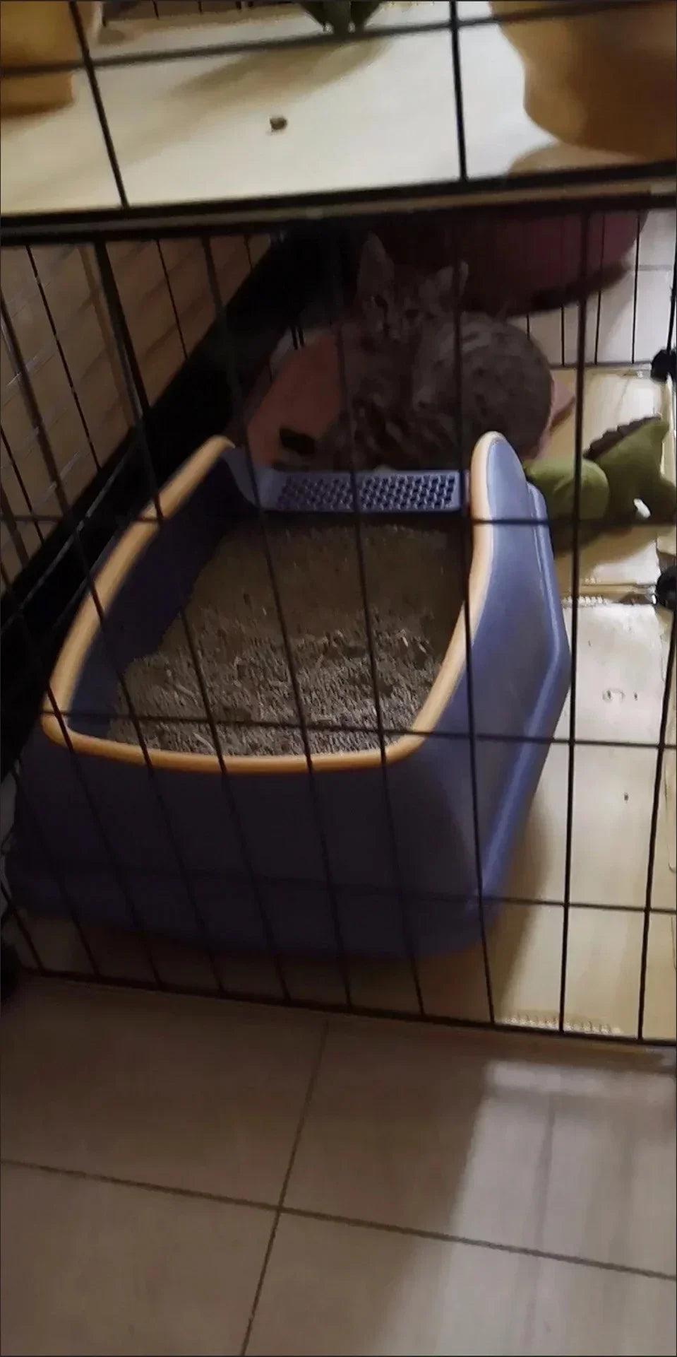 Semi Closed Plastic Sand Box Large Capacity Cat Litter Box For Cats Pet Toilet Anti Splash Cat Tray Cleaning Bath Basin Supplies