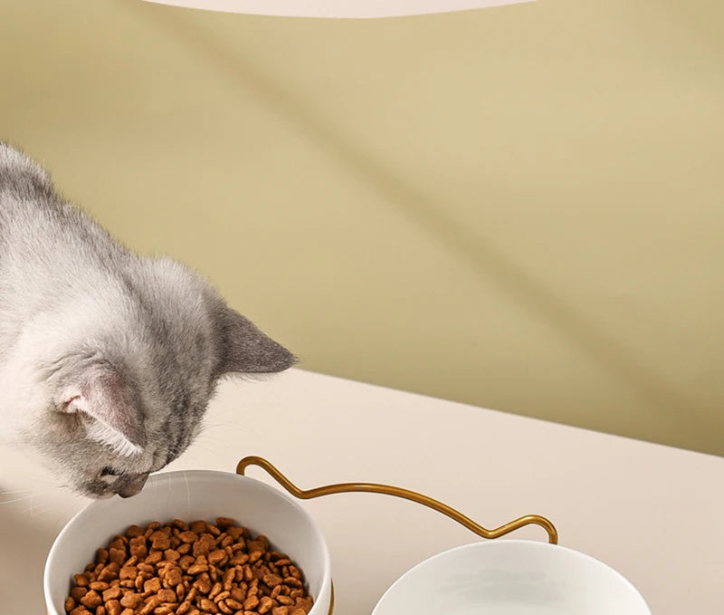 500ML Pet Ceramic Bowl Kitten Puppy Ceramic Bowl Water Feeder Cat Food Feeding Dish Dispenser with Raised Stand Cat Accessories