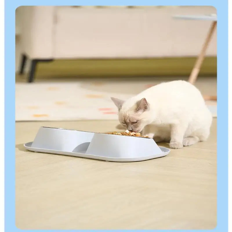 1pc Stainless Steel Double Cat Dog Bowl Cat Food Container Non-slip Base Pet Water Feeder Tilt Safeguard Neck Puppy Cats Bowls