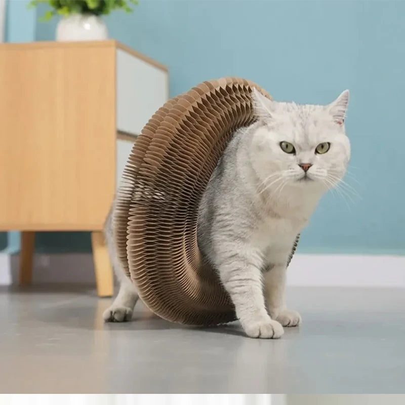 Magic Cat Scratch Organ Board Cat Toy with Ball Cat Grinding Claw Cat Climbing Frame Kitten Round Corrugated Cat Scratching Toy
