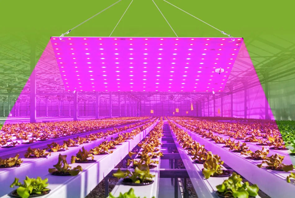 100W 50W LED Full Spectrum Indoor Grow Light Quantum Plate Plant Lamp Greenhouse Flower Succulents Potted Cultivation US/EU Plug