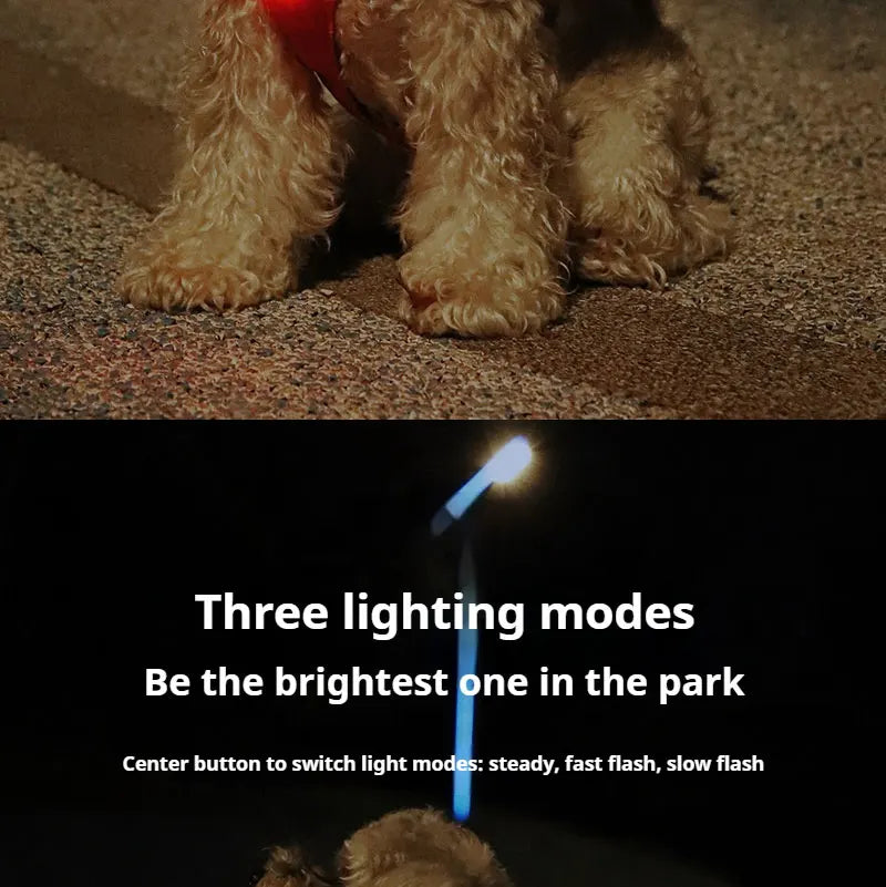 1pc Pet Luminous Pendant, Dog LED Walking Pet Cat Glowing Pendant Safety Luminous Collar Dog USB Rechargeable 3 Modes Flashlight