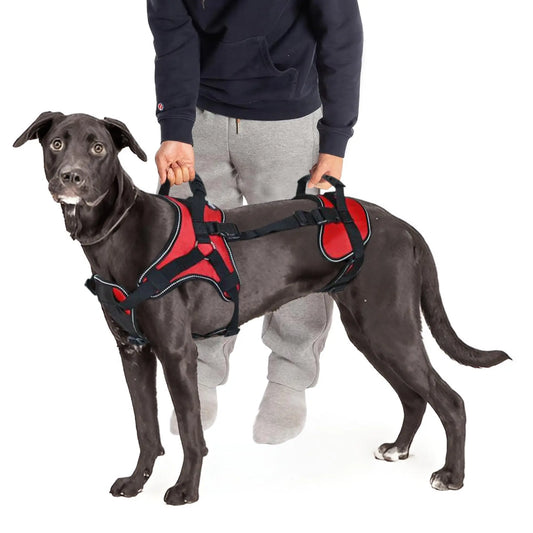 Wholesale Manufacturer Pet Harness Dog Sling for Back Legs Walk and Travel Lift Straps Large Lifting up Dog Harness