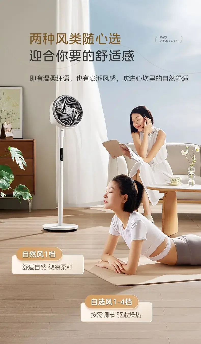 air circulation fan electric fan floor-standing high wind remote control timing household floor fan  air cooler