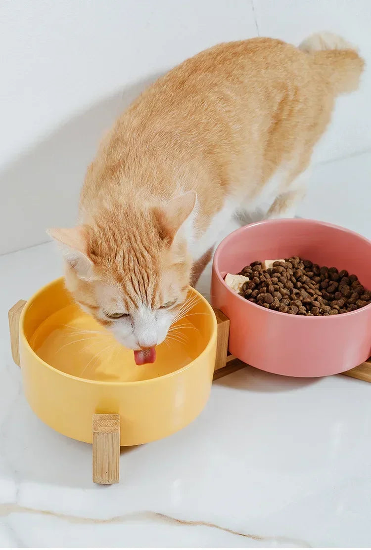 Self-Assembly Ceramic Double Cat Bowl Dog Bowl 400ML Pet Feeding Water Bowl Cat Puppy Feeder Product SuppliesFood Water Bowls