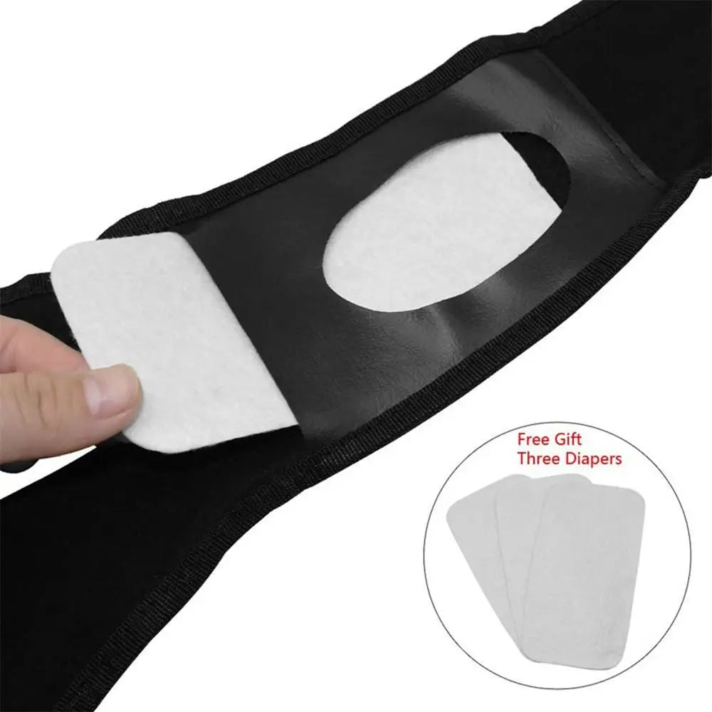 Female Pet Dog Sanitary Pants with 3 Diapers Dog Physiological Pants Menstrual Period Underwear Briefs Easy To Wear