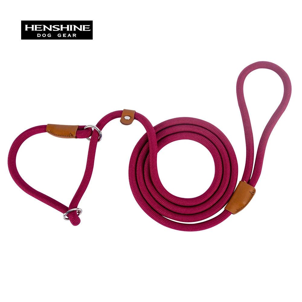 Convenient Durable Nylon Slip Rope Best Dog Leash Collar Adjustable Slide Fastener Loop Medium to Large Scale Leash for Dog Pet