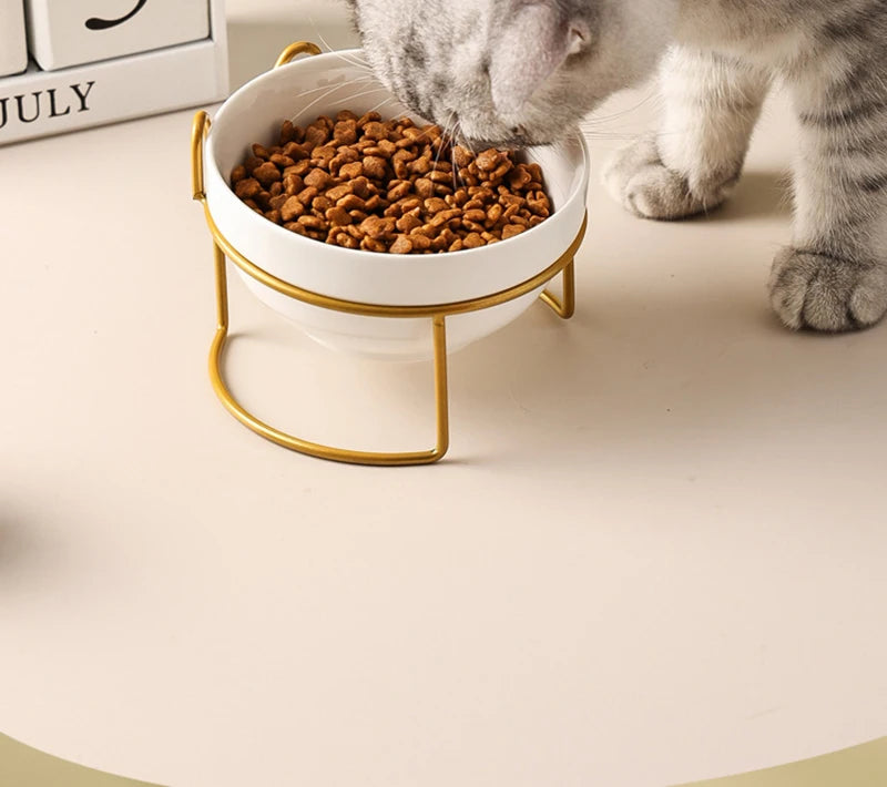 500ML Pet Ceramic Bowl Kitten Puppy Ceramic Bowl Water Feeder Cat Food Feeding Dish Dispenser with Raised Stand Cat Accessories