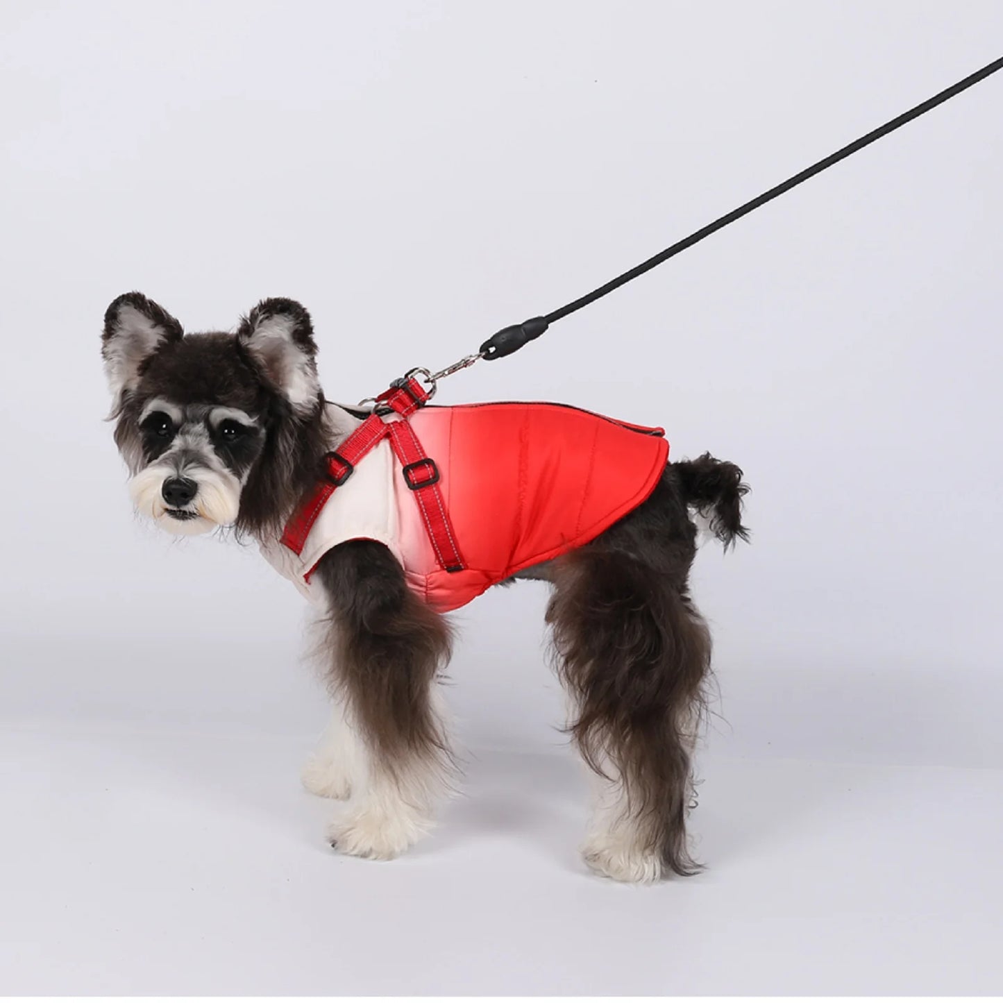 Waterproof Dog Jacket With Harness Winter Warm Pet Dog Clothes For Small Big Dogs Coat Chihuahua Clothing French Bulldog Outfits