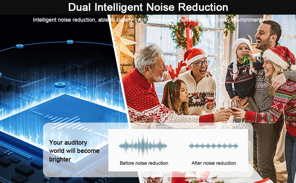 16 Channel Hearing Aid for the Elderly High Quality Hearing Aids with Noise Reduction Hearing Aid for Deafness Audifonos