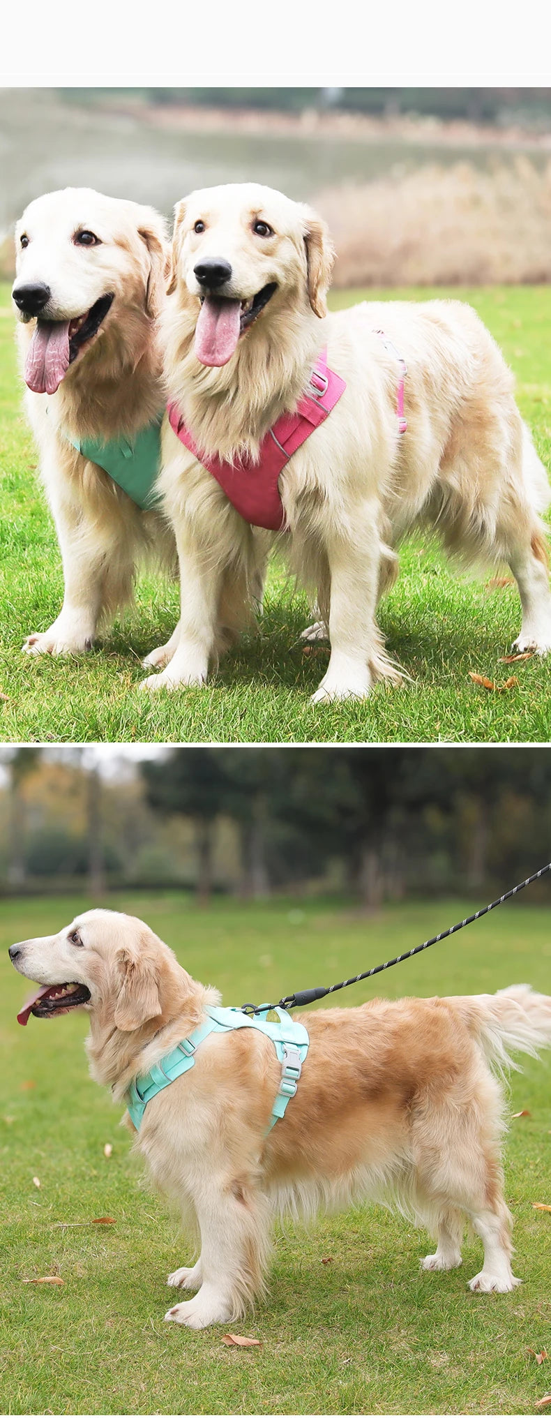 Dog Harness Upgraded Nylon Waterproof Tactical Vest for Small Medium Large Dogs Reflective Dog Harnesses Pet Dogs Accessoires