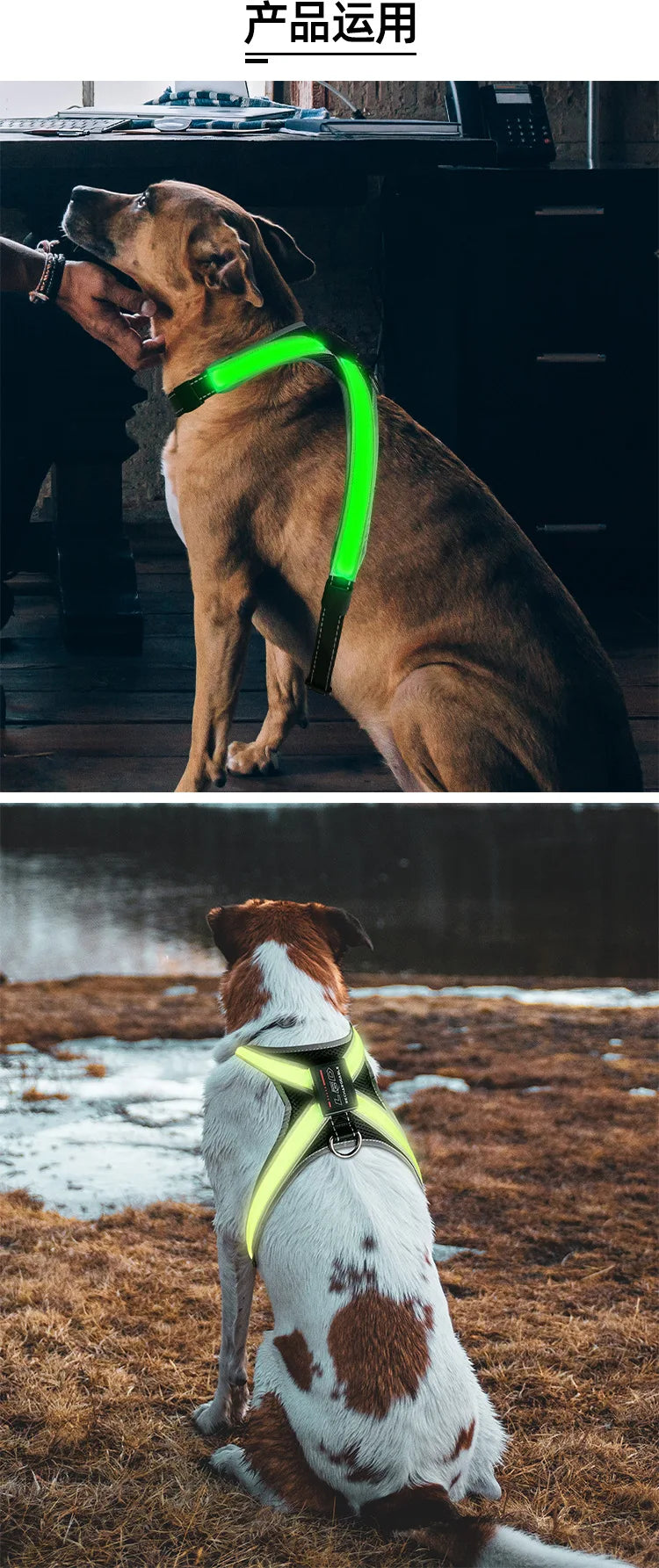 Color Changing Dog Collar Explosion Resistant Reflective Vest Adjustable Chest Harness LED Light Pet Leash