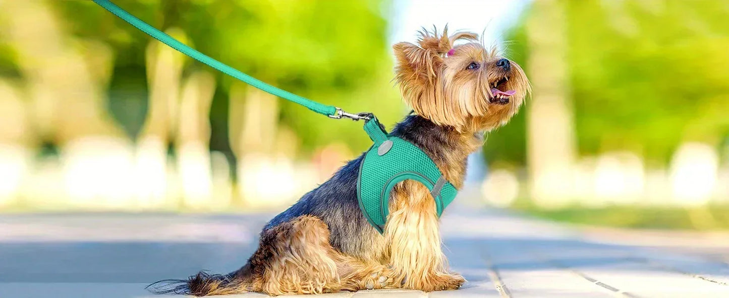 Ultimate Comfort Reflective Step-In Dog Harness and Leash Set - Soft Padded Breathable Mesh Vest,Ensure Safe Walking
