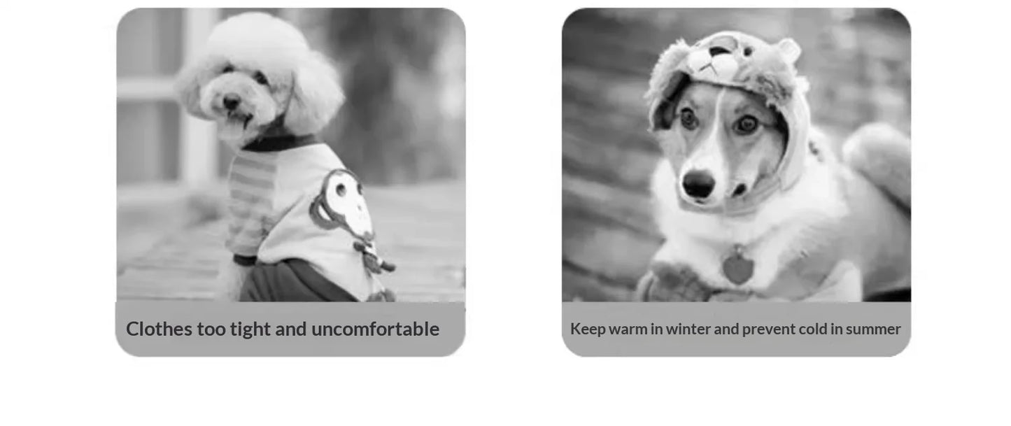 Dog Clothes Winter Autumn Warm Four Legged Fleece Lined Thickened Outfits for Cats Golden Gradient Ragdoll Small To Medium Dogs