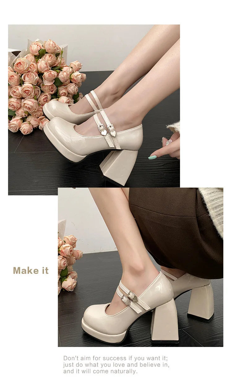 Women Chunky Heels Mary Jane Shoes Princess Spring New Fashion Platform Comfortable Black Soft Anti-slippery Dress Leather Shoes