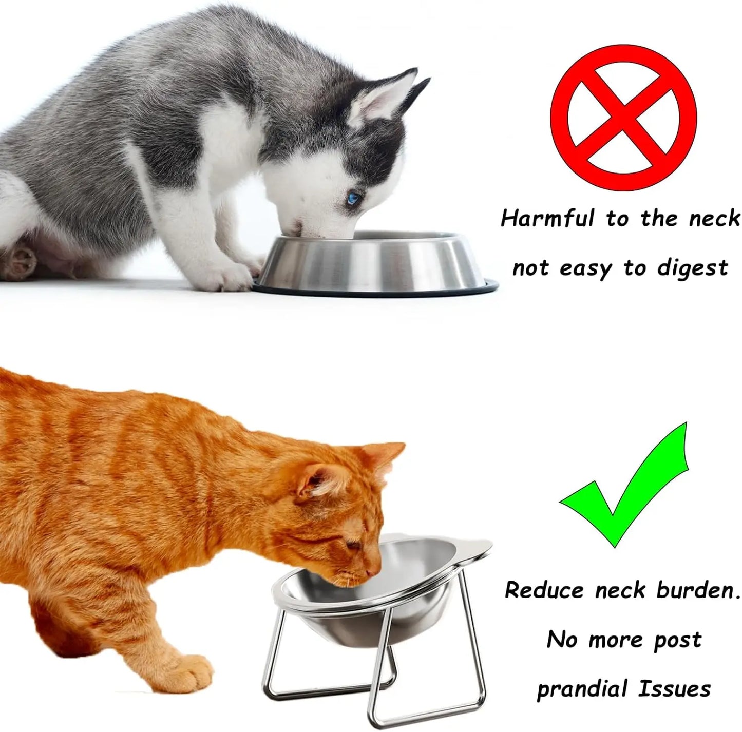 Tilted Cat Bowl Stainless Steel Cat Food Bowls with Metal Stand Food and Water Dish for Cats Kitten Puppies Feeders Cat Supplies