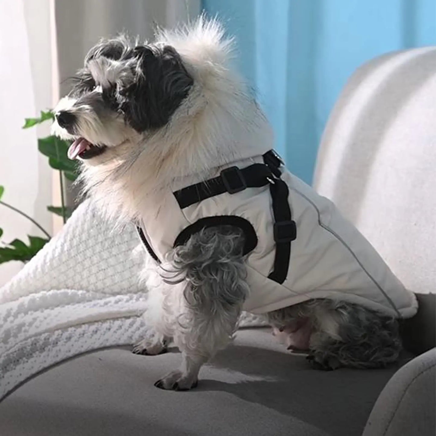 Dog Coat Winter Dog Jacket Dog Vest Clothing Dog Harness Coat Small Dog Harness Puppy Vest Harness Winter Dog Coat with Harness