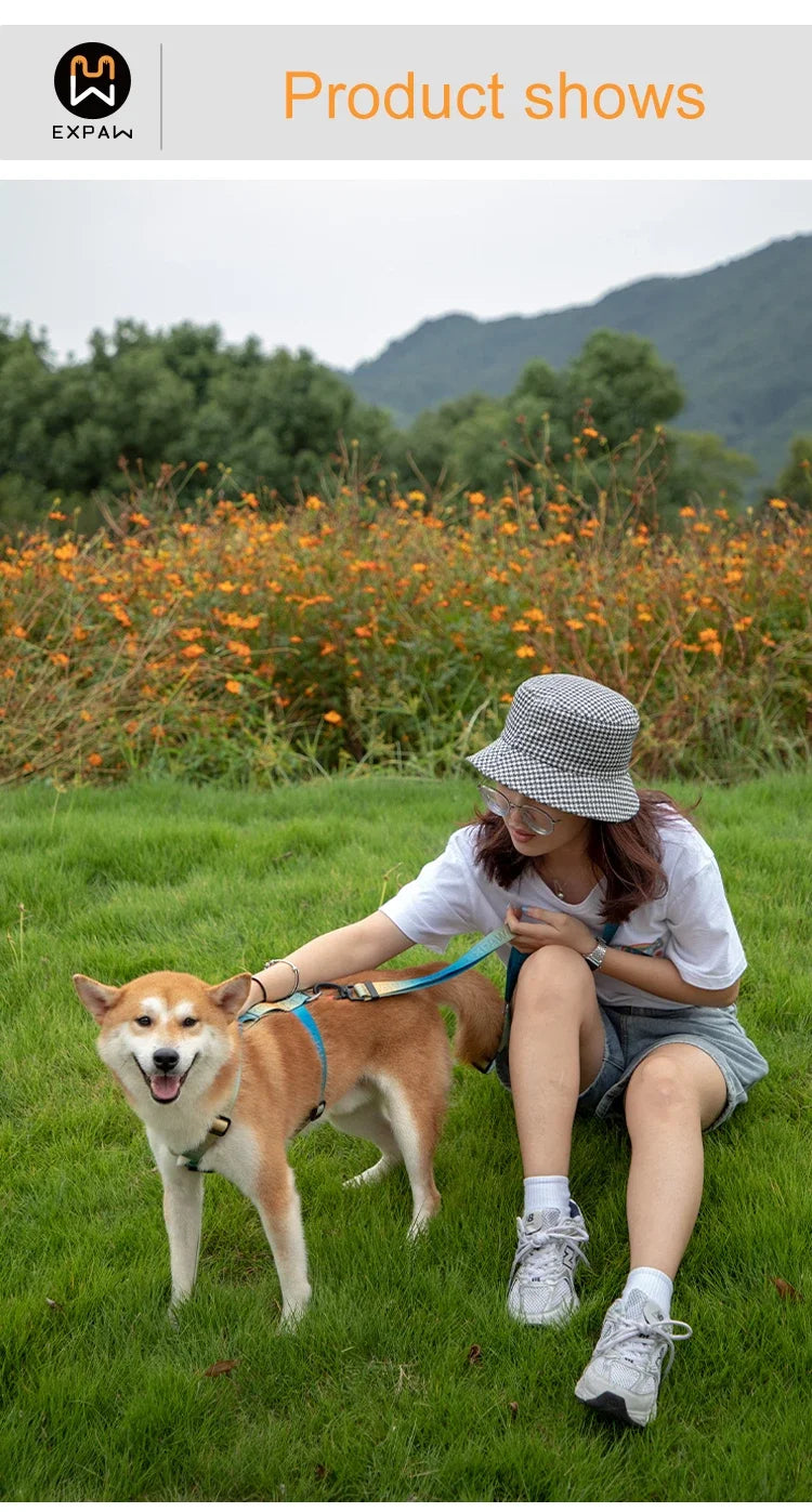 Adjustable Nylon Dog Harness Fashion Chest Vest No Pull Pet Puppy Harness for Small Medium Large Dogs Corgi Dog Supplies
