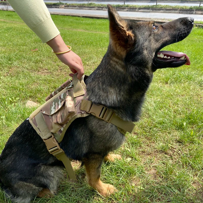 Tactical Dog Harness Adjustable Traning Dog Harness Leash Sets with Storage Bag for Large Dog Control Handle Cat Harness