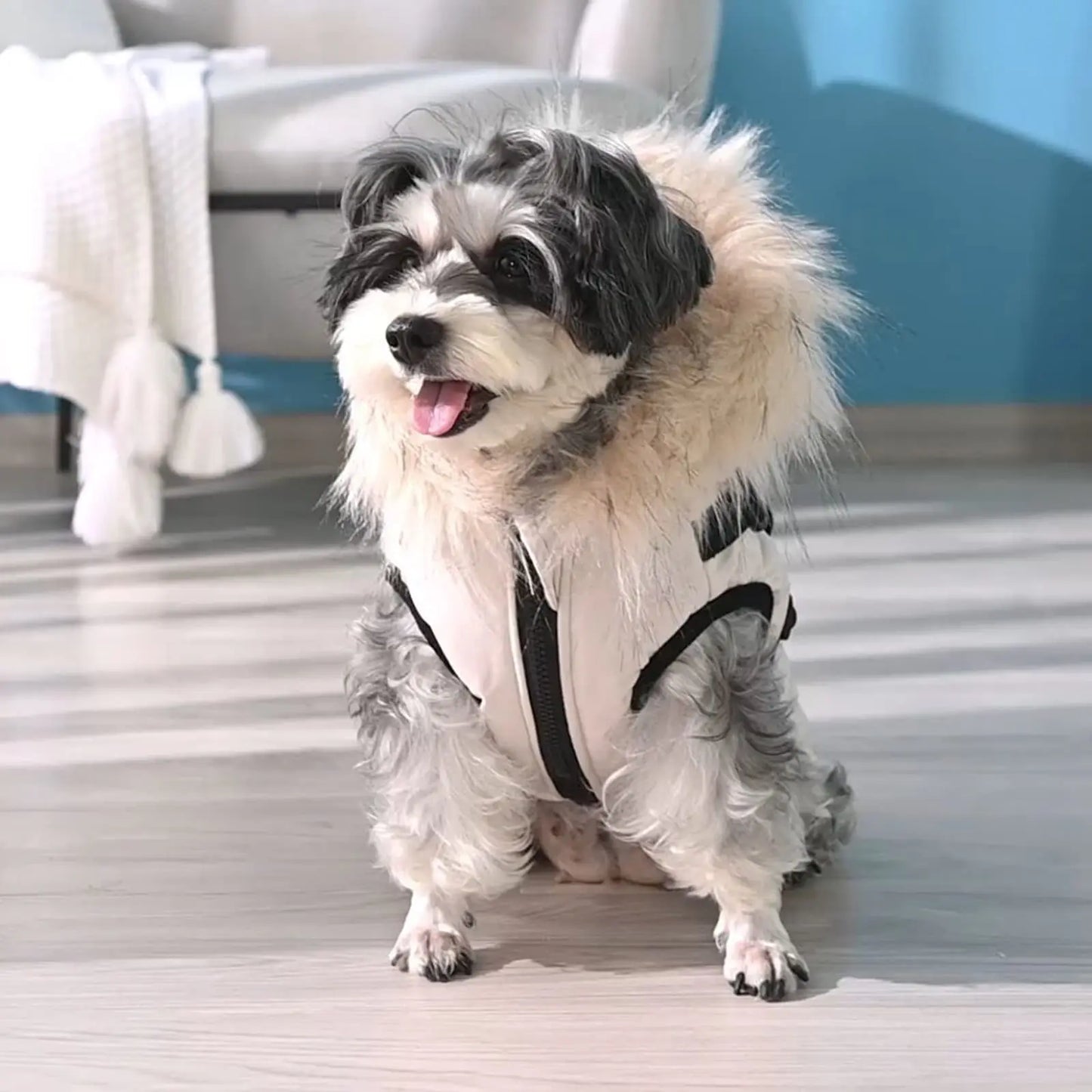 Dog Coat Winter Dog Jacket Dog Vest Clothing Dog Harness Coat Small Dog Harness Puppy Vest Harness Winter Dog Coat with Harness