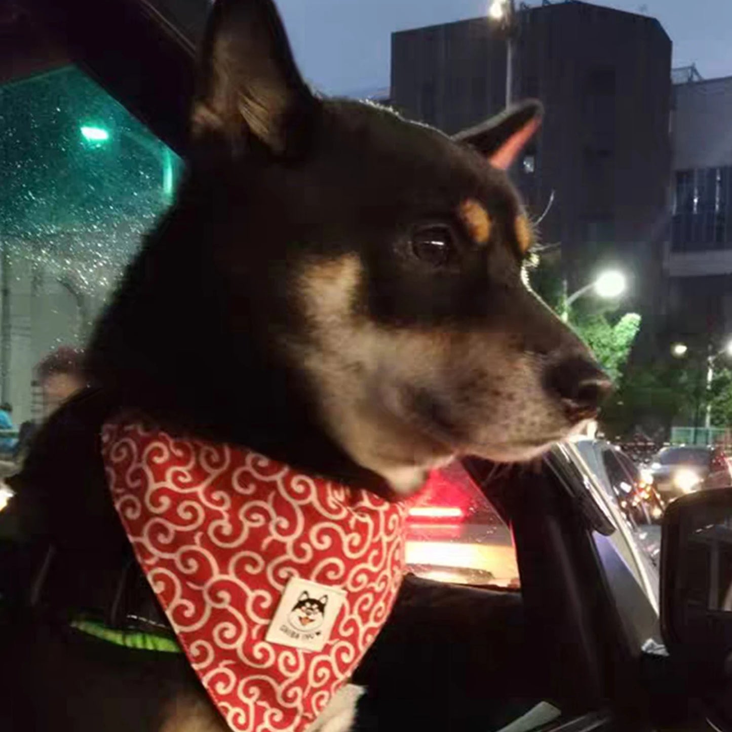 Classical Japanese Pattern Style Popular Shiba Scarf Bandana Roll Grass Cat Collar  Dog Accessories for Small Dogs for Dog