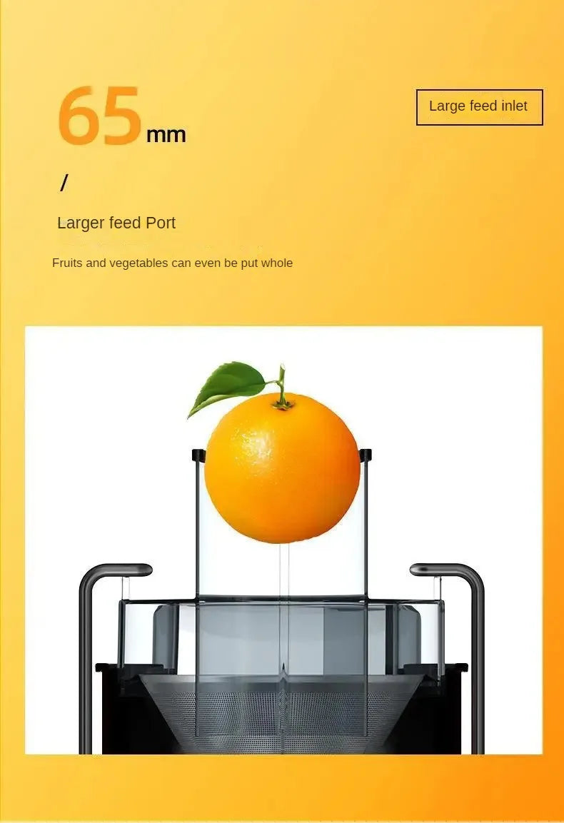 Stainless steel fruit juicer Centrifugal Strong Power Easy To Clean 800W Motor Big Mouth Large for Fruits And Vegetables