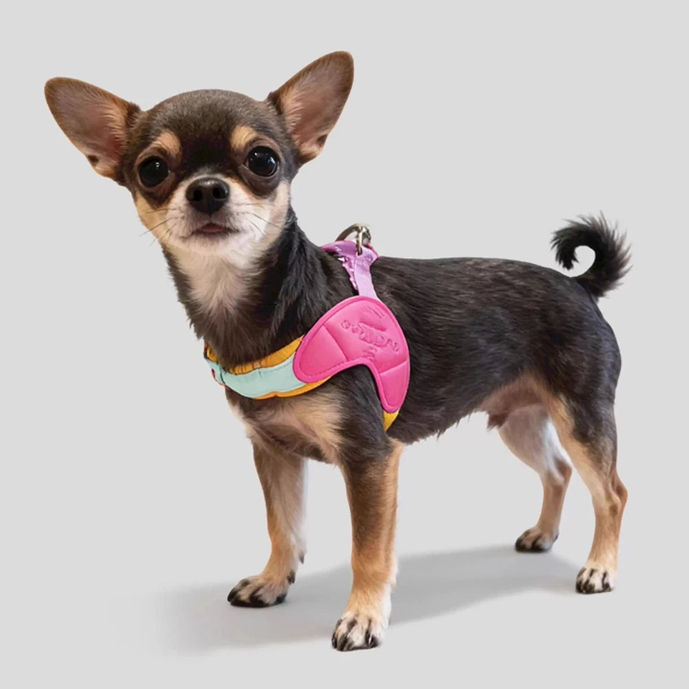 Y-shaped Dog Harness for Small Dogs Shiba Inu Puppy Chest Straps Macaron Color Matching Pet Harness Outdoor Products