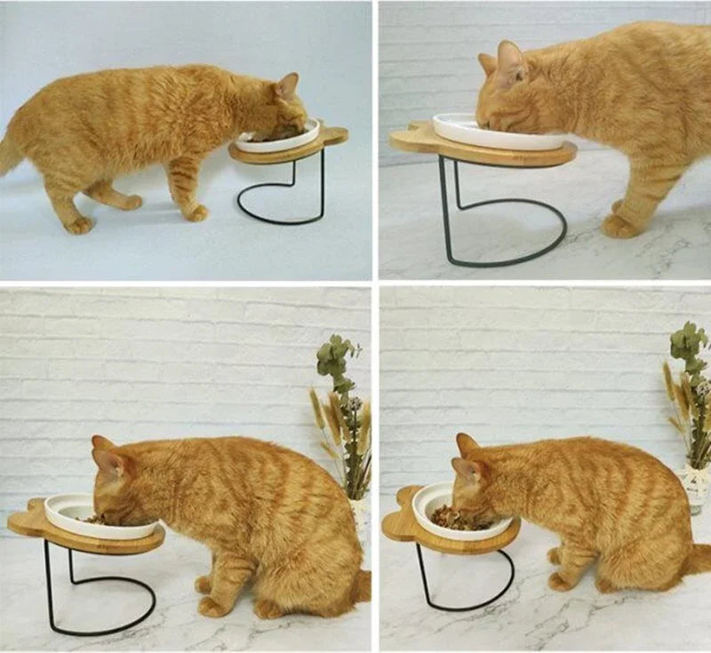 Ceramic Cat Bowl Cat Food Feeder Dog Bowls Drinking Water Bowl Cervical Protection Pet Supplies Ceramic Double Cat Bowls