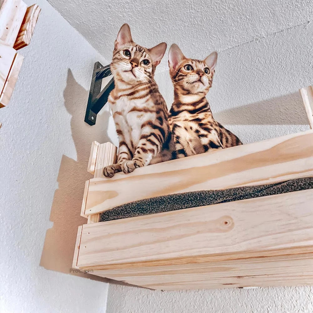 Wall mounted cat wooden basket wall cat bed cat tree modern cat wall solid wood furniture suitable for cats sleeping