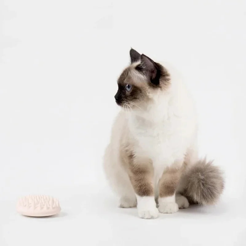 PETKIT Pet Massage Comb Cat Grooming Hair Removal Brush Silicone Pet Shower Hair Comb Dog Cat Cleaning Tool Pet Supplies