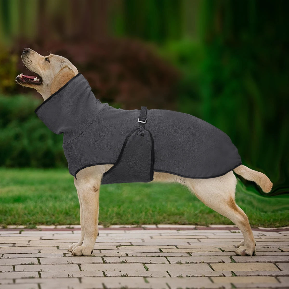 Winter Pet Dog Clothes Warm Big Dog Coat Puppy Clothing Pet Vest Jacket For Small Medium Large Dogs Golden Retriever