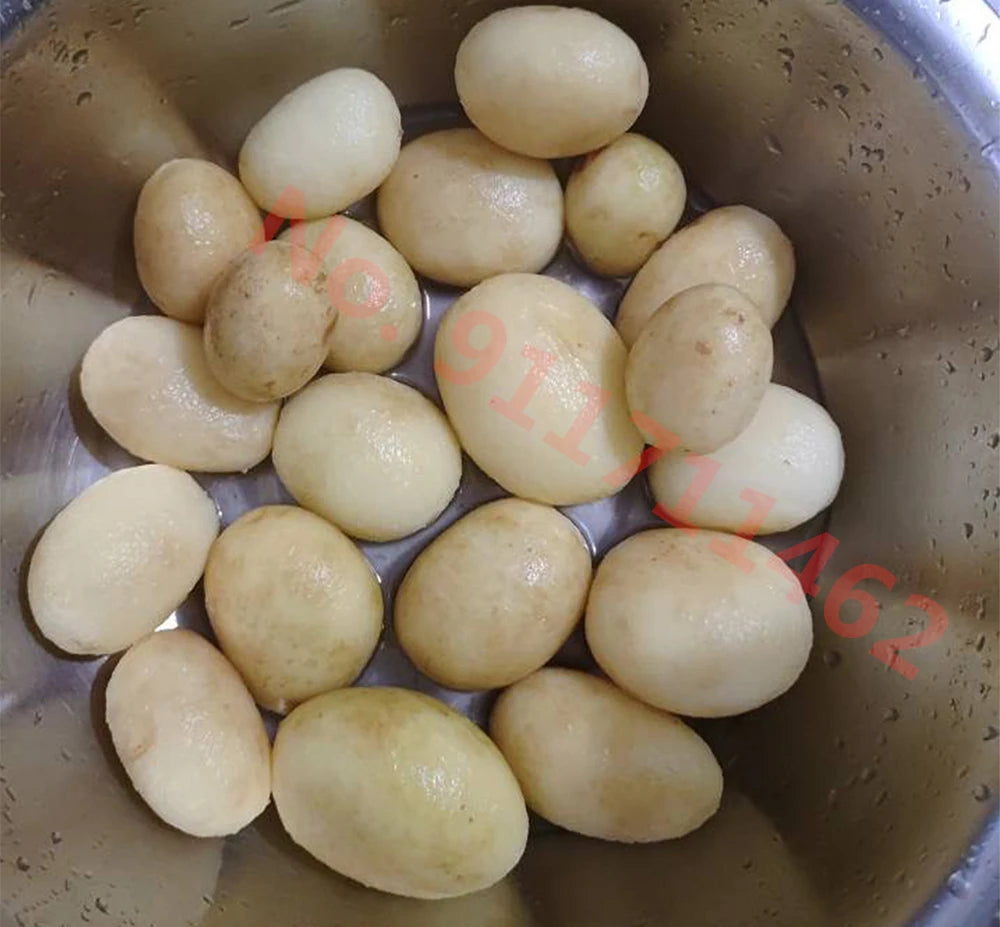 Home Electric Potato Peeling Portable Potato Peeler Vegetable Dehydrator Kitchen Tool EU Plug US Plug