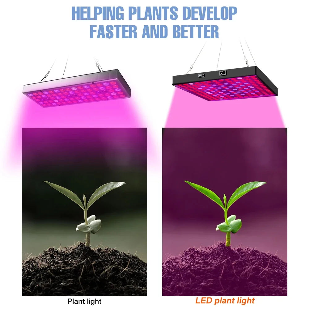 100W 50W LED Grow Light Full Spectrum Plant Hydroponics Cultivation Lamp IR UR For Indoor Flower Cactus Succulent Fill Lighting