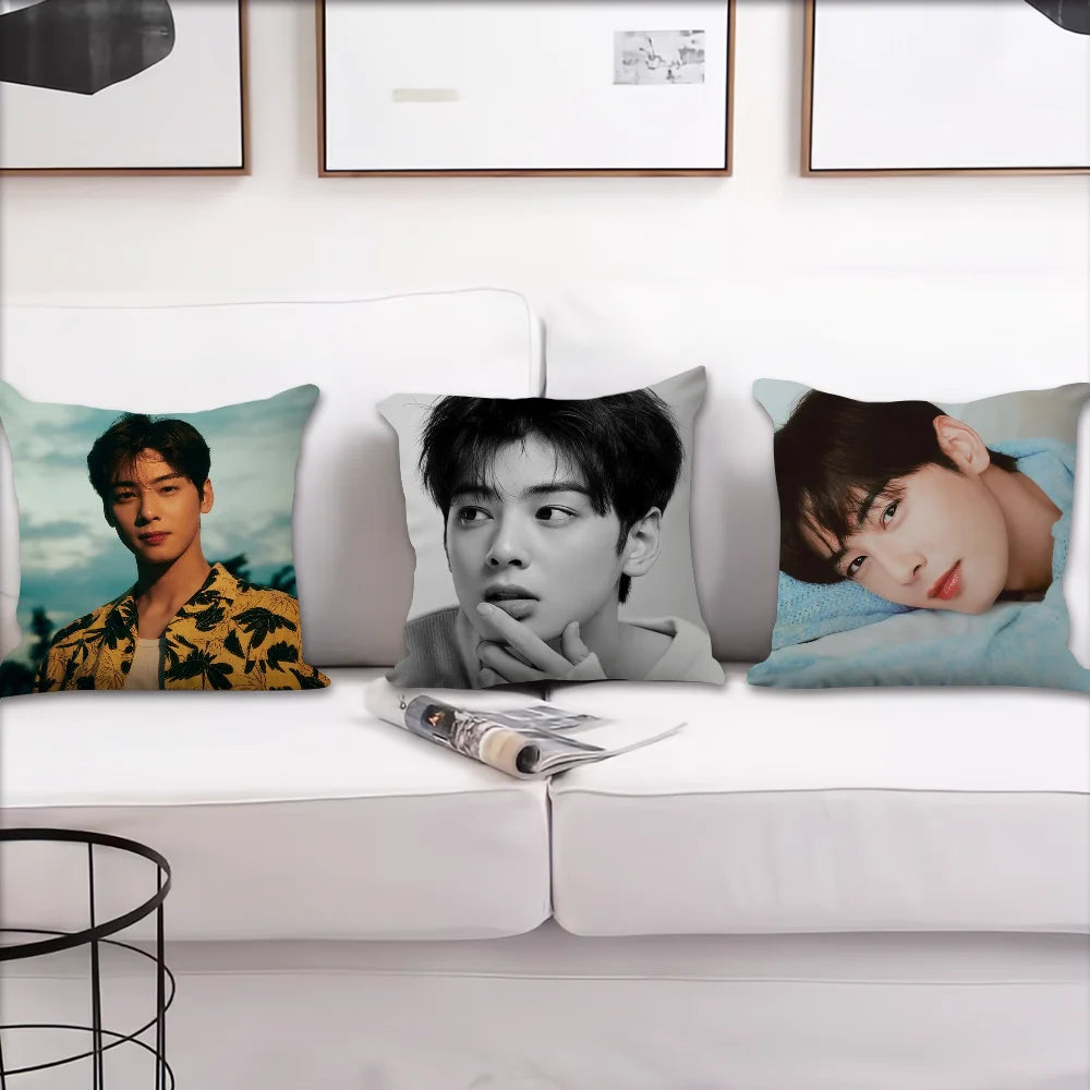 Korea Singer C-Cha Eun Woo Cushion Cover Sofa Living Room Bedroom Headboard Backrest Cushion Square Cushion Nap Time Pillow Case