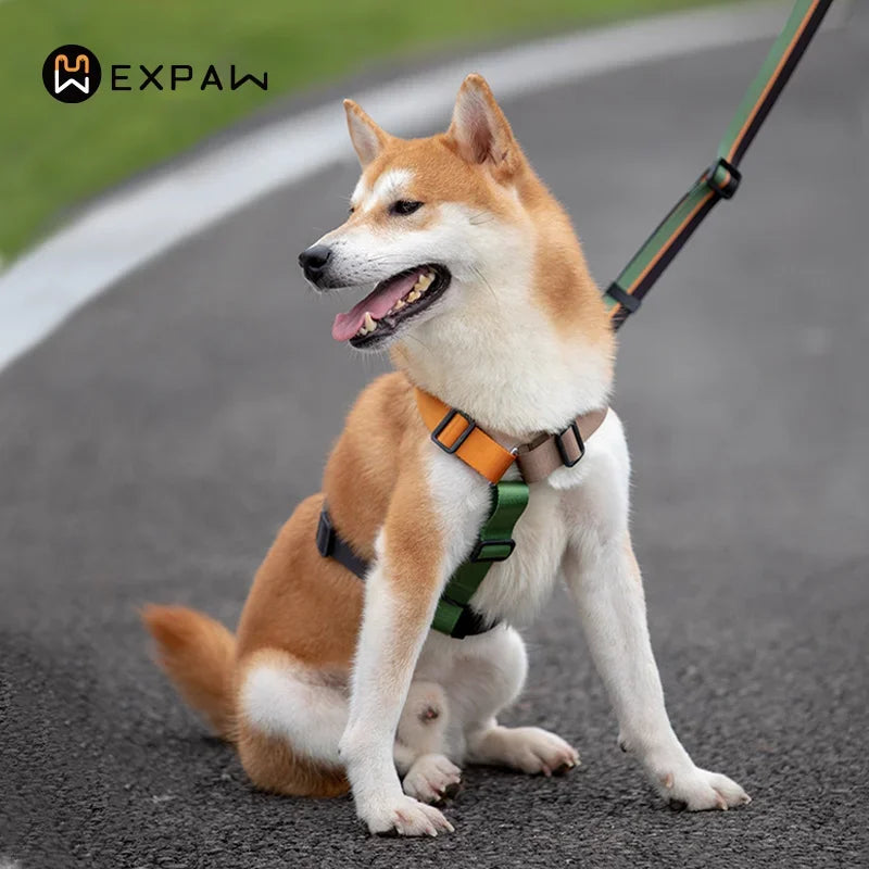 Adjustable Nylon Dog Harness Fashion Chest Vest No Pull Pet Puppy Harness for Small Medium Large Dogs Corgi Dog Supplies