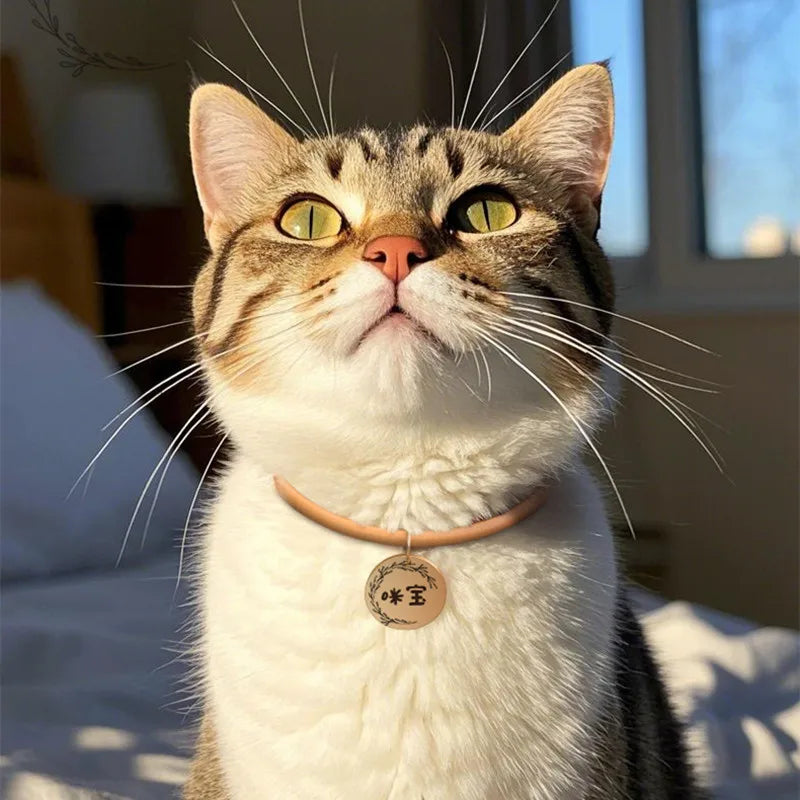 Custom Lettering Leather Cat Collar Katten Accessories Small Dog Collar and Tag Set  Collares Para Gatos Dogs Accessories