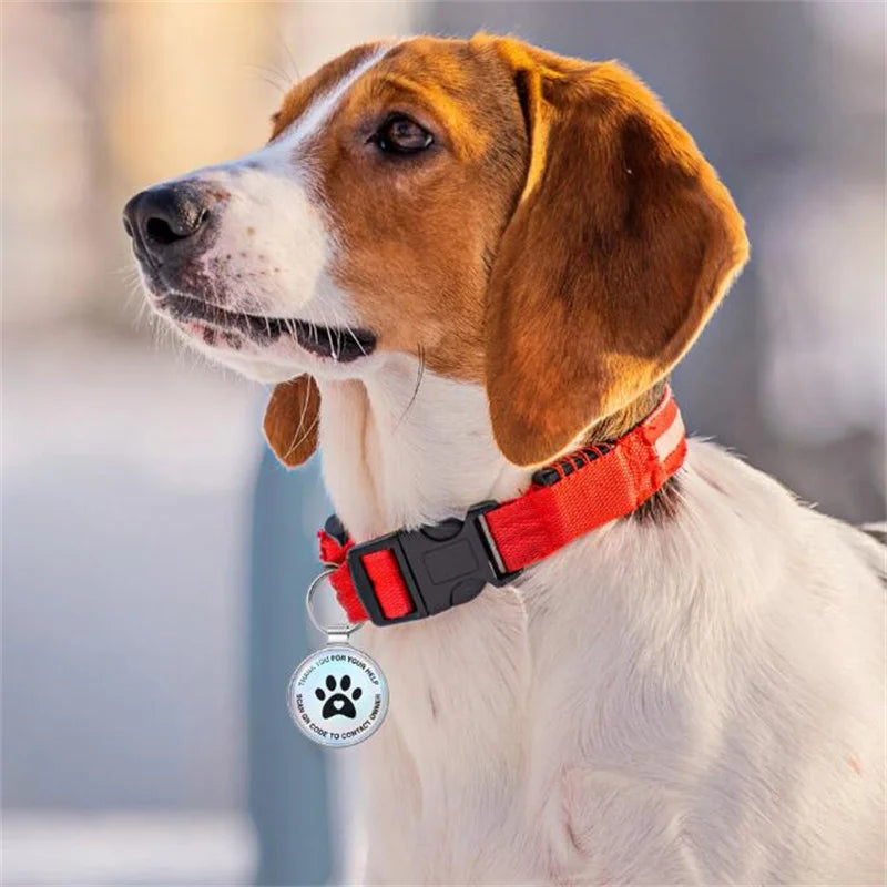 QR Code Dog Tag Multi-Language Smart ID Pendant Metal Key Ring Pet Badge Cat Collar Accessories Plaque for Pets Personalized