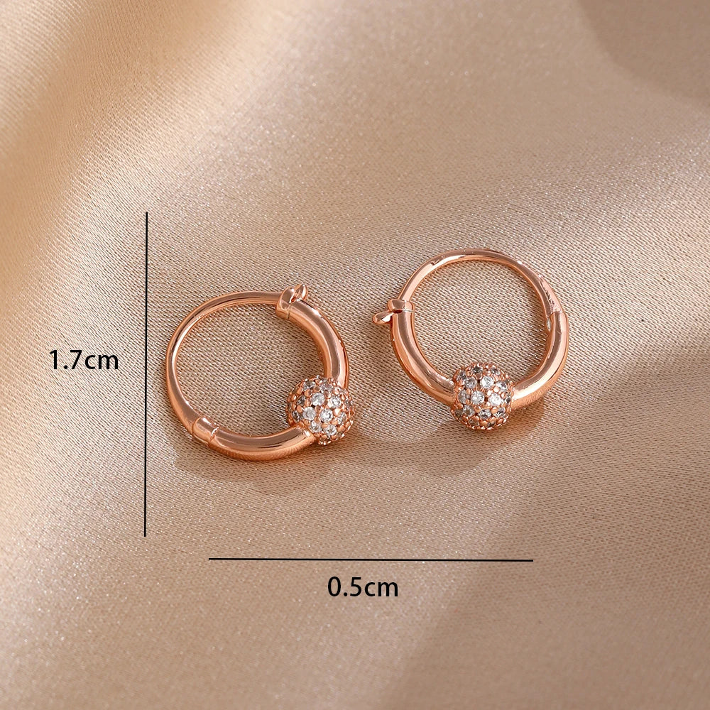 925 Silver Stud Earrings Hoop Earrings For Women Rose Flower Strawberry Butterfly Daisy Earrings Set Fashion Jewelry Gift