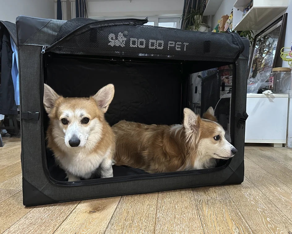 Dog Crate Travel Foldable Pet Crate for Puppy/Small Dog 18 Lbs Soft Cat Carrier Fit for Indoor & Outdoor/Car Back Seat/Trunk