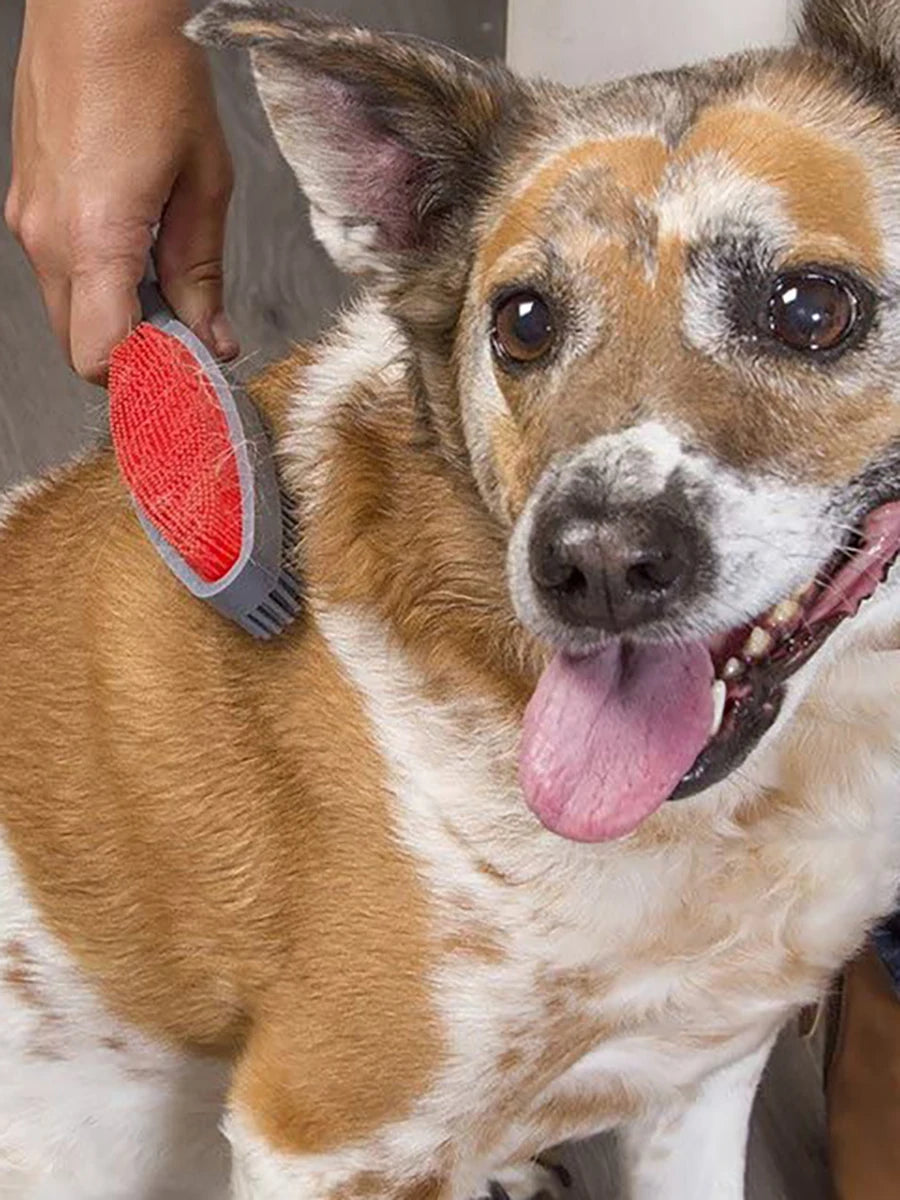 Silicone Pet Hair Brush with Massage - Dog Cat Grooming Tool, Easy Clean for Clothes Car Furniture