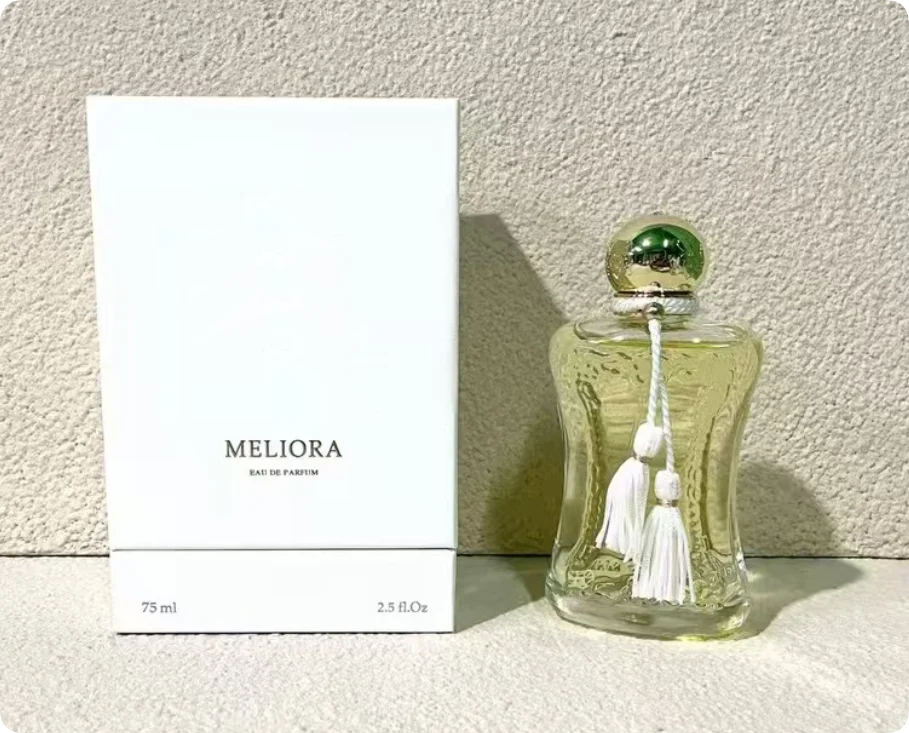 High Quality Light Eau De Perfume Luxury Classic Perfumes Large Capacity Floral Woody Fragrance Cologne Long-Lasting Parfum